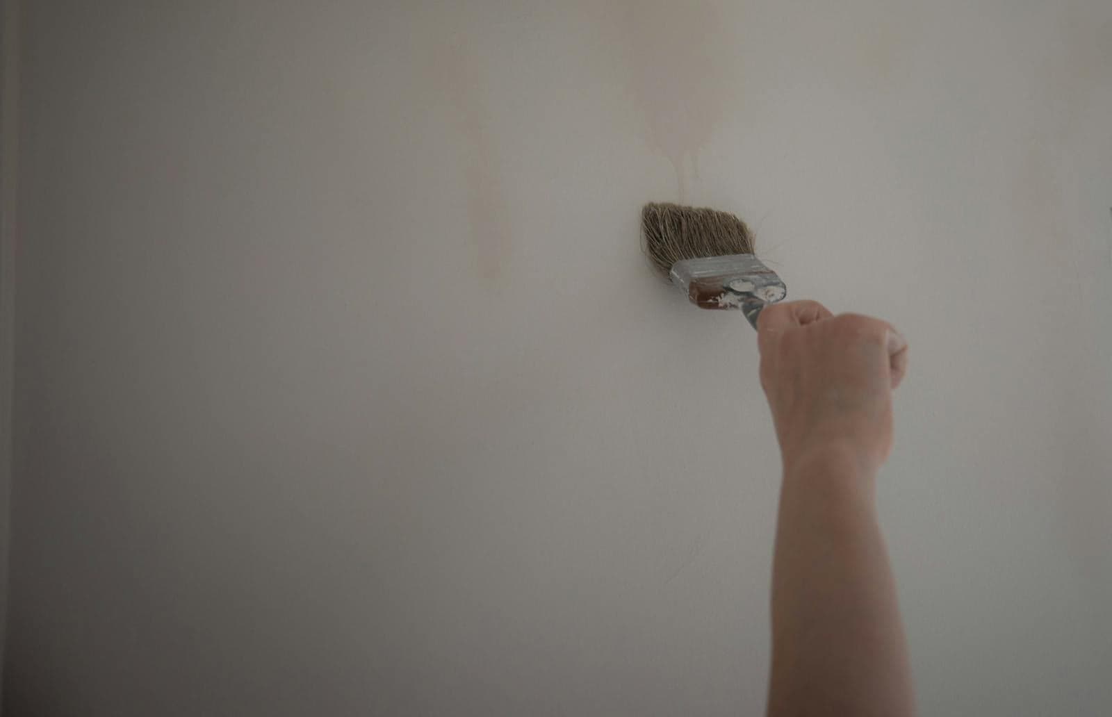 Paint brush applying fresh paint to an interior wall
